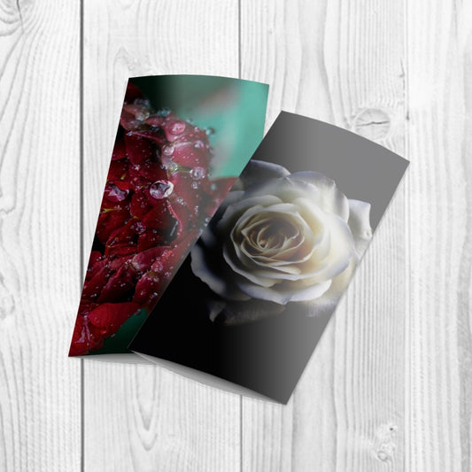Semi-Gloss Brochures